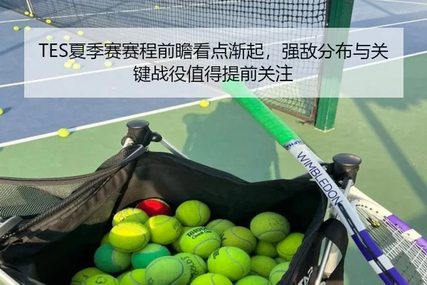 TES夏季赛赛程前瞻看点渐起，强敌分布与关键战役值得提前关注 - kaiyun